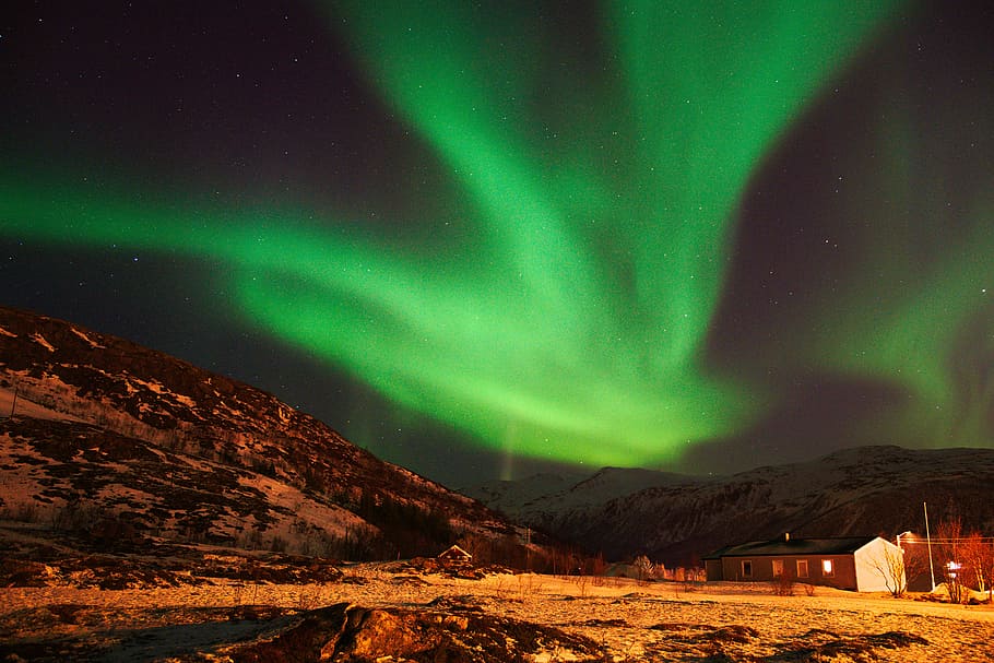 green Northern Lights, Aurora Borealis, night, sky, winter, snow HD wallpaper