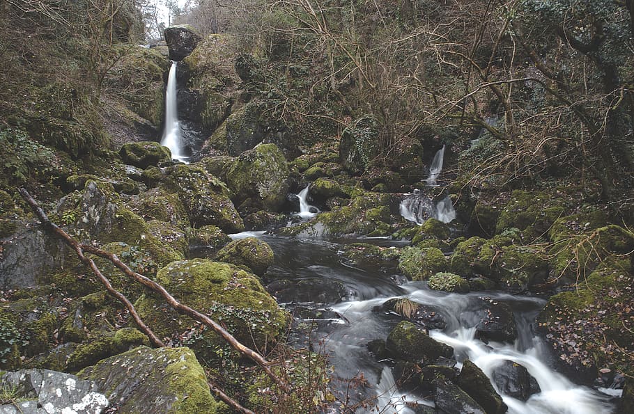 Waterfalls, branches, creek, flow, flowing, forest, landscape HD wallpaper