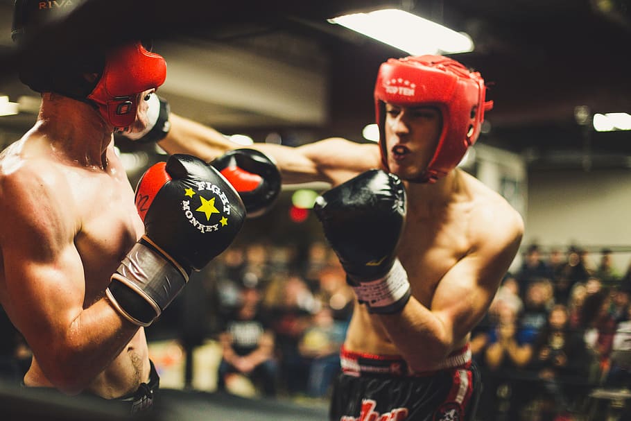 two man playing boxing, two boxer fighting each other, direct hit HD wallpaper
