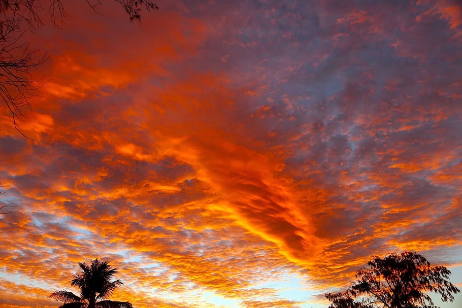fiery, sky, sunset, orange clouds, scenics - nature, tree, orange color HD wallpaper