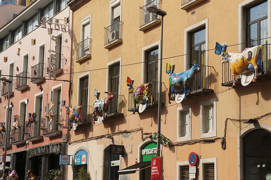 balcony, building, cows, spain, architecture, built structure HD wallpaper