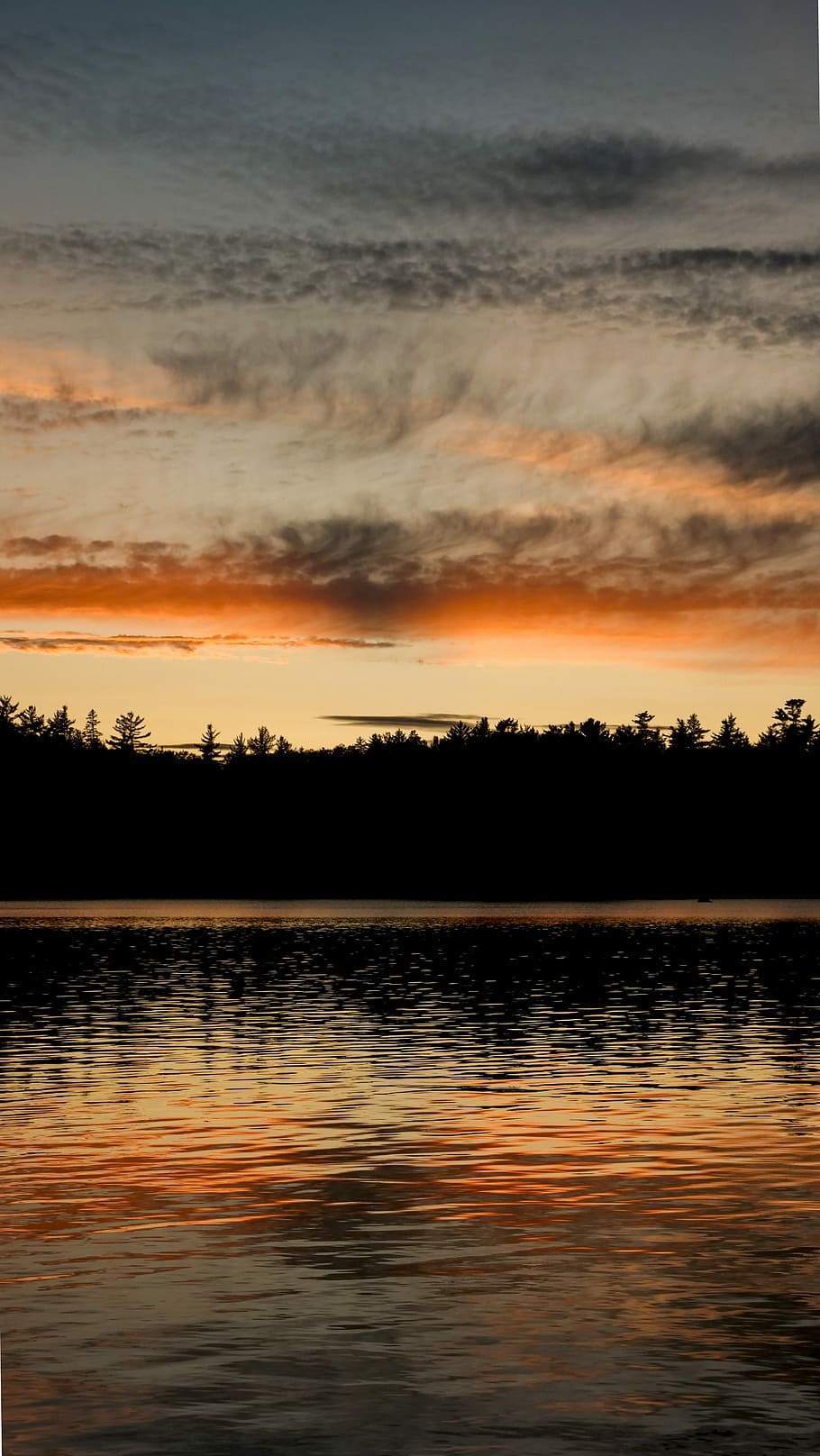 silhouette photo of trees and lake during dawn, mountain near body of water HD wallpaper
