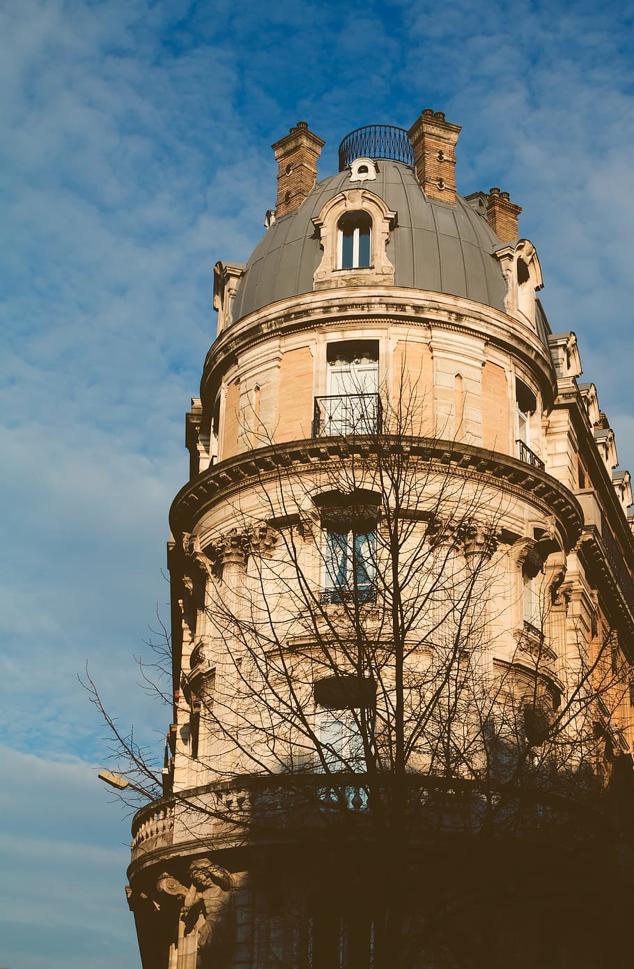 low-angle photography of brown high-rise building, brown concrete structure near tree HD wallpaper