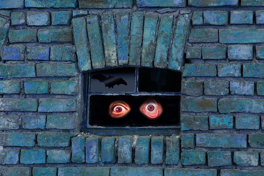 black tinted glass window with 3D human eye sticker, monster HD wallpaper