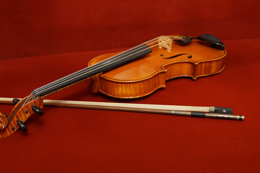 viola, musical instrument, stringed instrument, string instrument HD wallpaper
