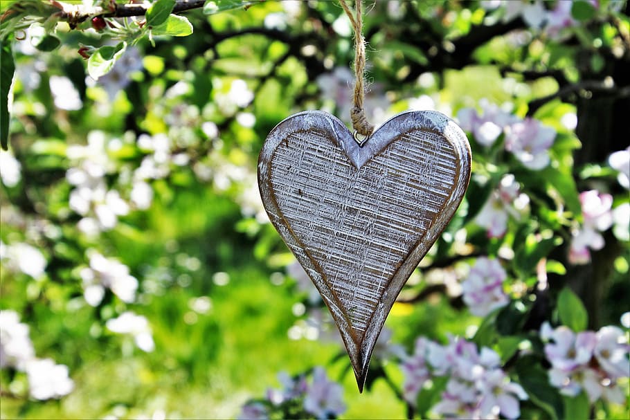 heart-shaped gray hanging decor, wooden, sad, spring, fruit trees, HD wallpaper