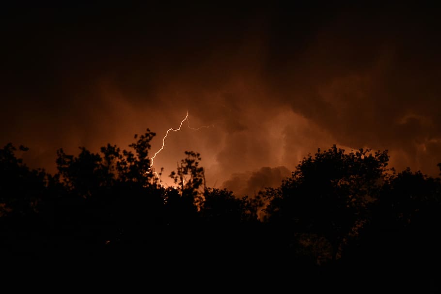 cloudy sky with lighting above trees, photo of trees with lightning HD wallpaper
