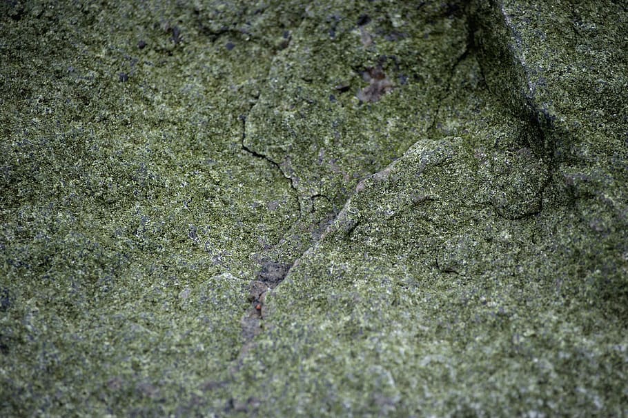 stone, texture, natural, no people, nature, full frame, plant HD wallpaper