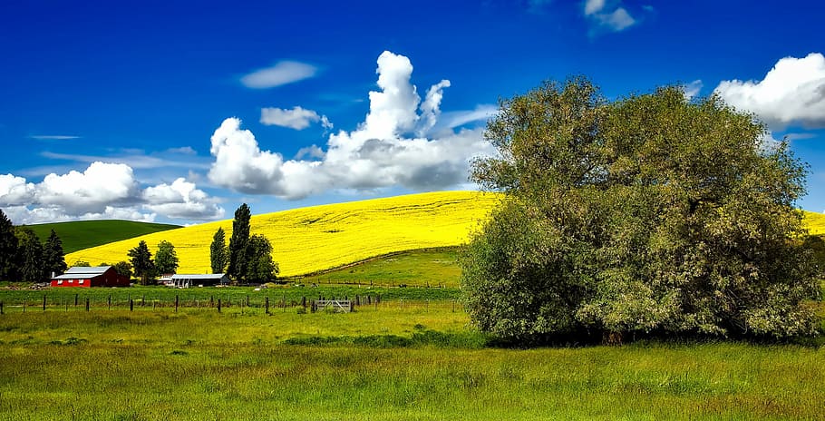 Beautiful Landscape and Clouds in Idaho, fields, photos, landscapes HD wallpaper
