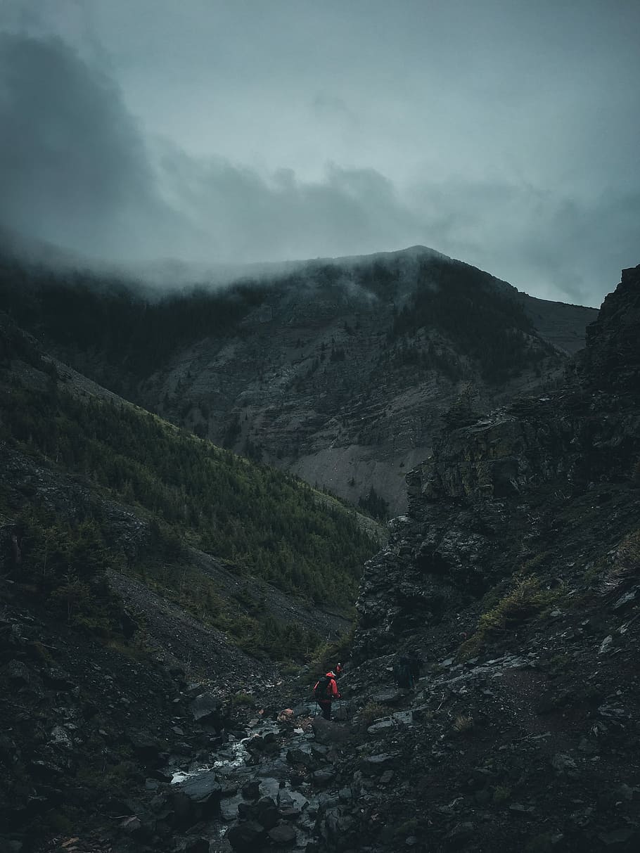 man walking on rocky mountain, person walking on mountain, tree HD wallpaper