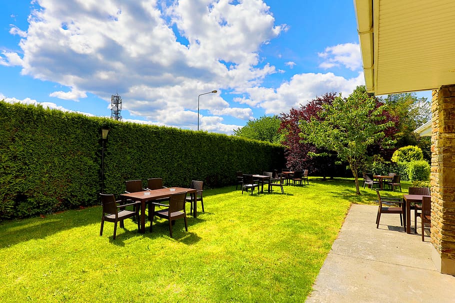 killarney, eviston, hotel, brooklodge, plant, sky, tree, seat HD wallpaper