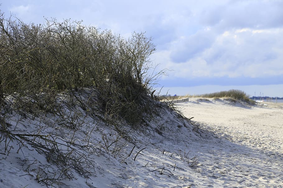 dunes, sand, sky, sand dune, sand beach, atlantic coast, sea HD wallpaper