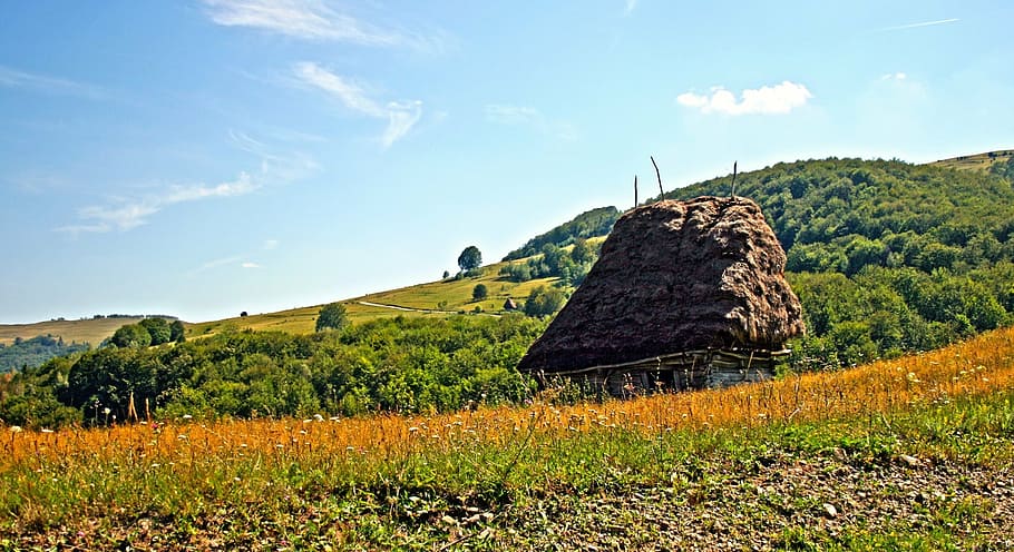 hut, landscape, mountain, rural, stable, nature, sky, summer HD wallpaper