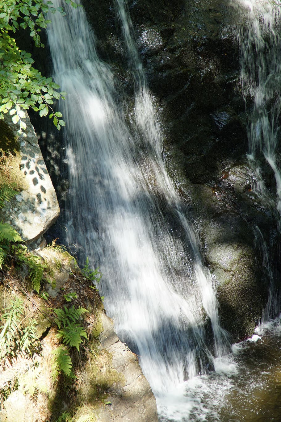 waterfall, forest, sweden, deciduous forest, nature, landscape HD wallpaper