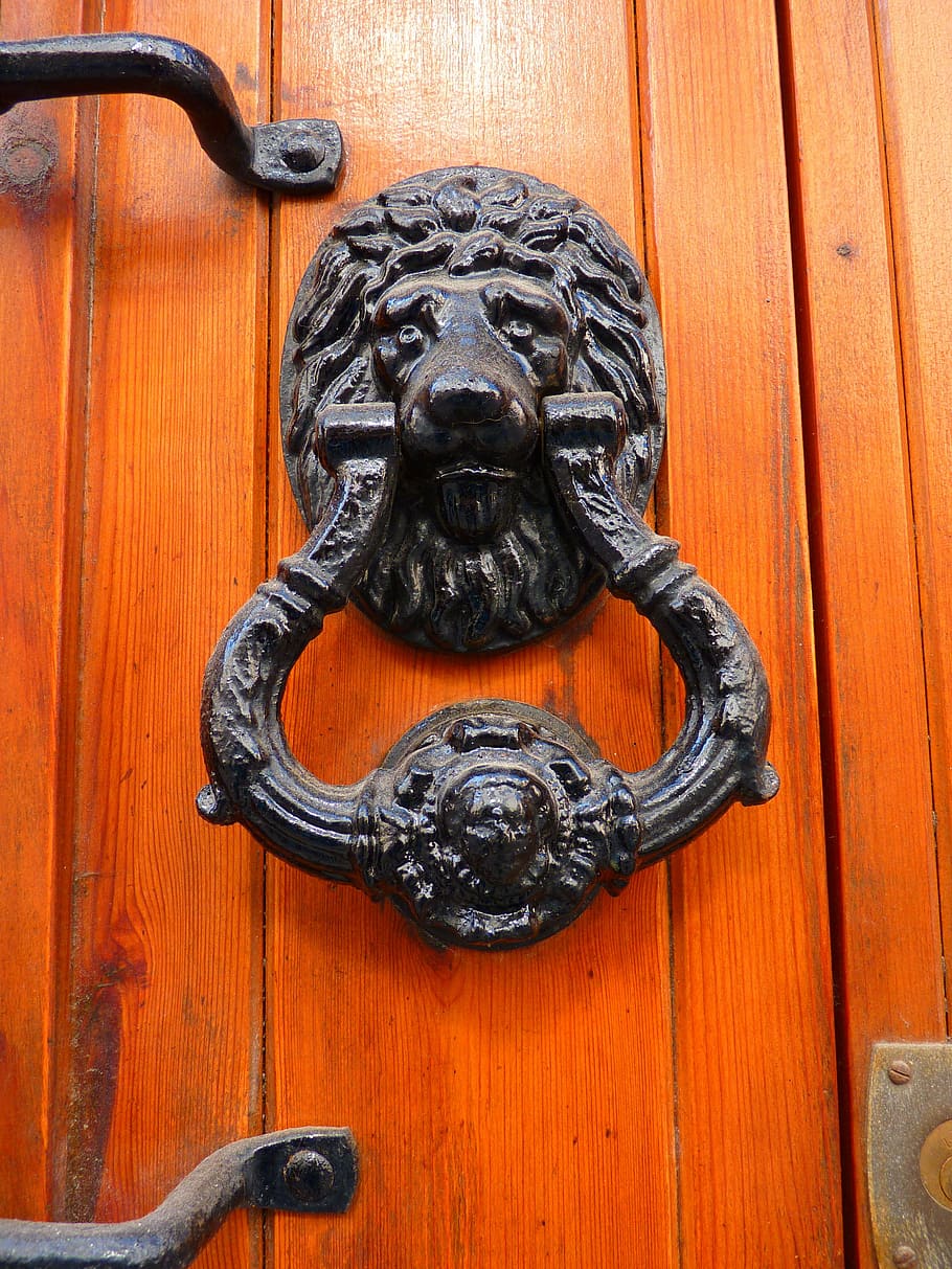 door, thumper, lion head, iron, wood, handle, entrance, wood - material