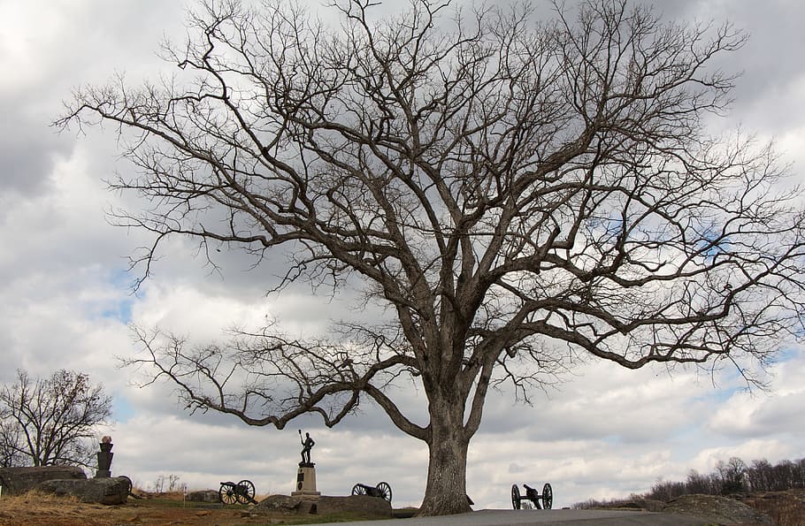 Gettysburg, Pennsylvania, Cannon, Tree, statue, sculpture, civil, HD wallpaper