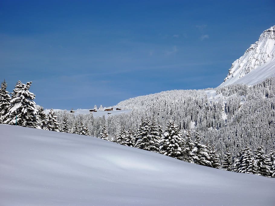 winter, snow, wintry, cold, landscape, snowy, winter cold, switzerland HD wallpaper