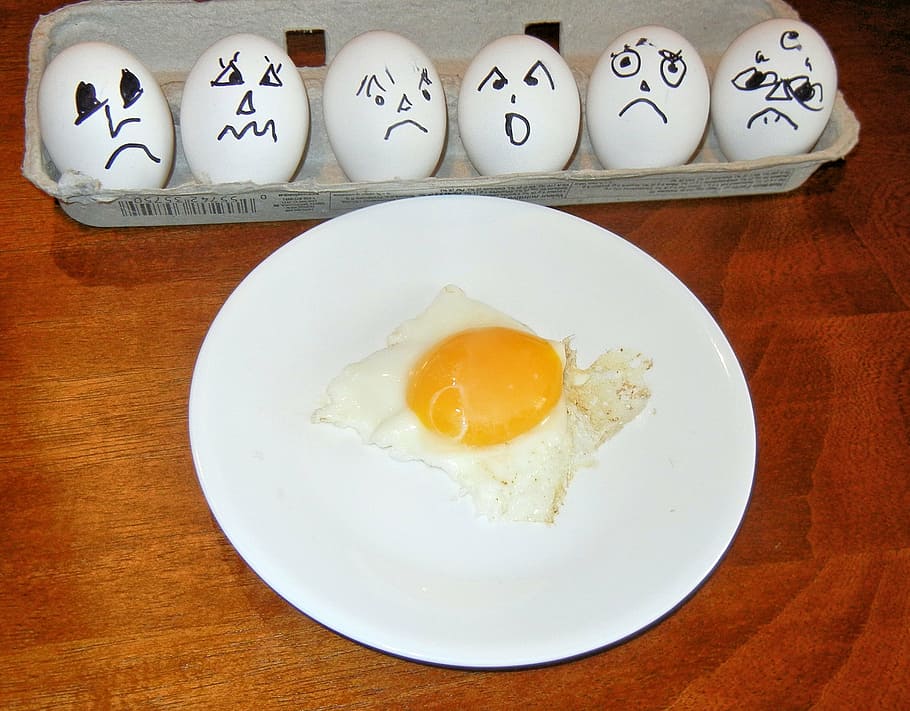 eggs, cooked, raw, in shell, waiting, food and drink, table HD wallpaper