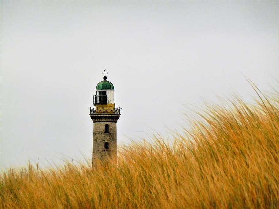 lighthouse beside yellow grass field, sky, travel, tower, coast HD wallpaper