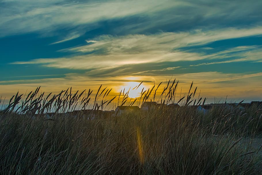 green grass field photo, sunset, seascape, sky, shadows, england HD wallpaper