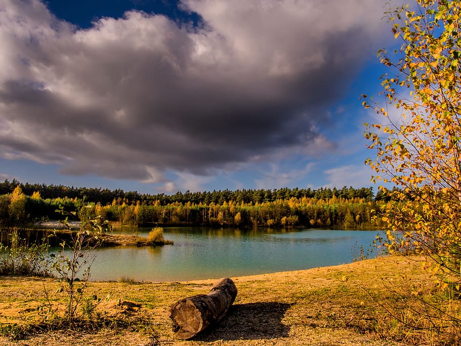 Landscape, Water, Tree, Waters, landscape water, nature, lake HD wallpaper