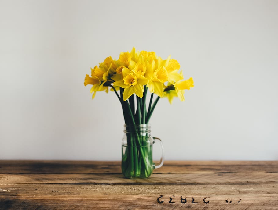 yellow daffodils in clear glass jar, flower, stem, water, wooden HD wallpaper