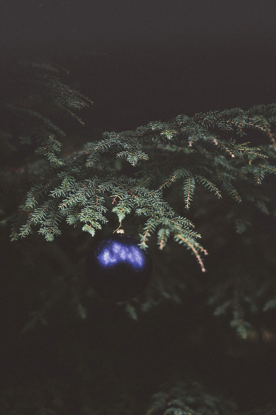 pine leaves, bauble hanging on palm tree, foliage, christmas tree HD wallpaper