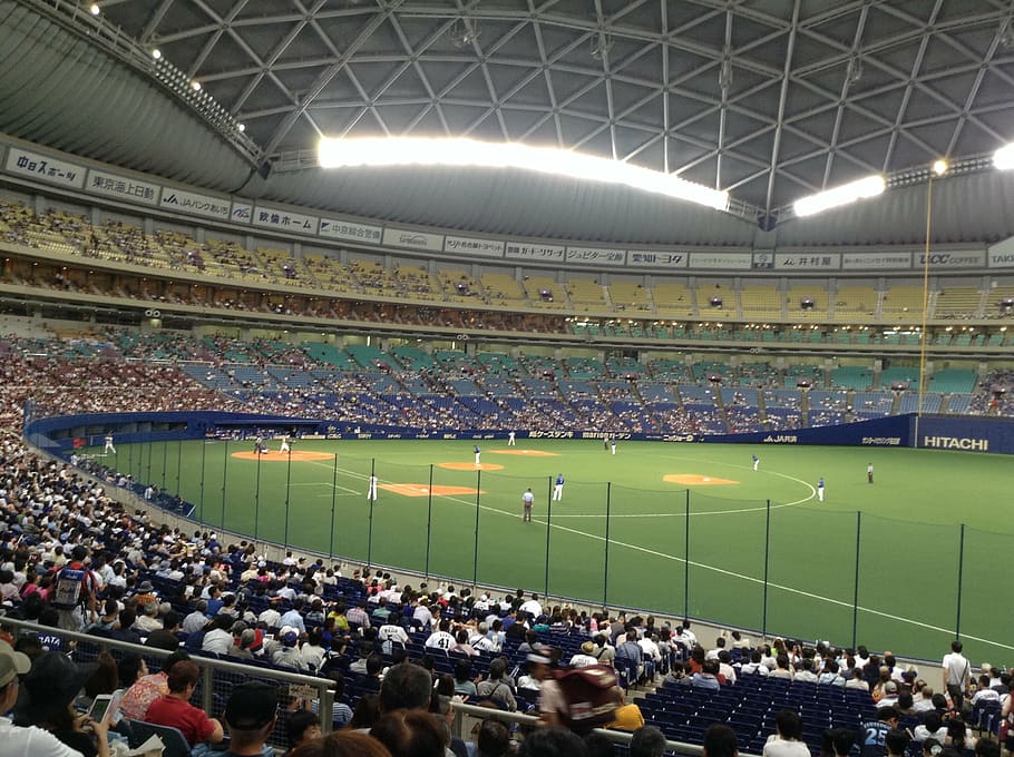 baseball, game, watch, support, fan, stadium, sports Venue, HD wallpaper