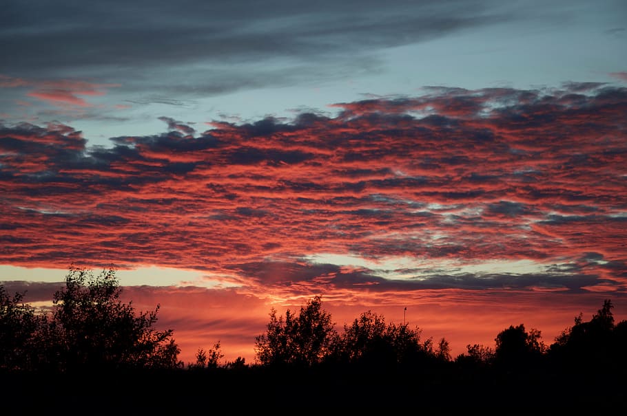 sunset glow, twilight, the clouds, sky, cloud - sky, tree, silhouette HD wallpaper