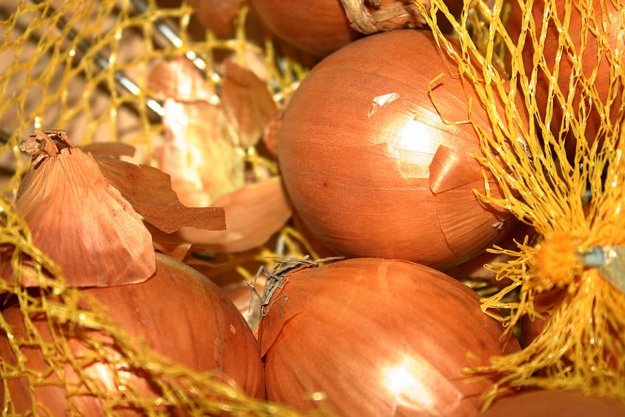 onions, network, shell, sharp, cream onion, close-up, food HD wallpaper