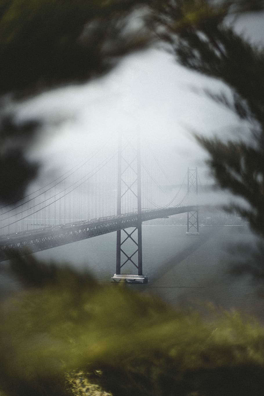 Golden Gate Bridge, San Francisco, photography of bridge cover by fogs HD wallpaper
