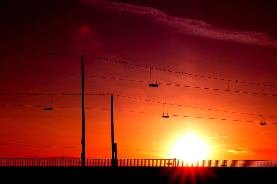 birds, wait, bird flight, last night, sun, sunset, setting sun HD wallpaper