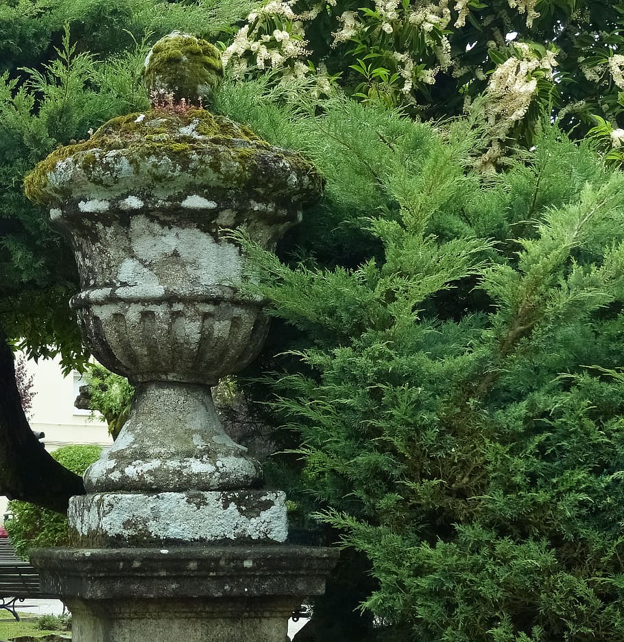 Vase, Conifer, Moss, Old, Spain, park, tree, cemetery, green HD wallpaper