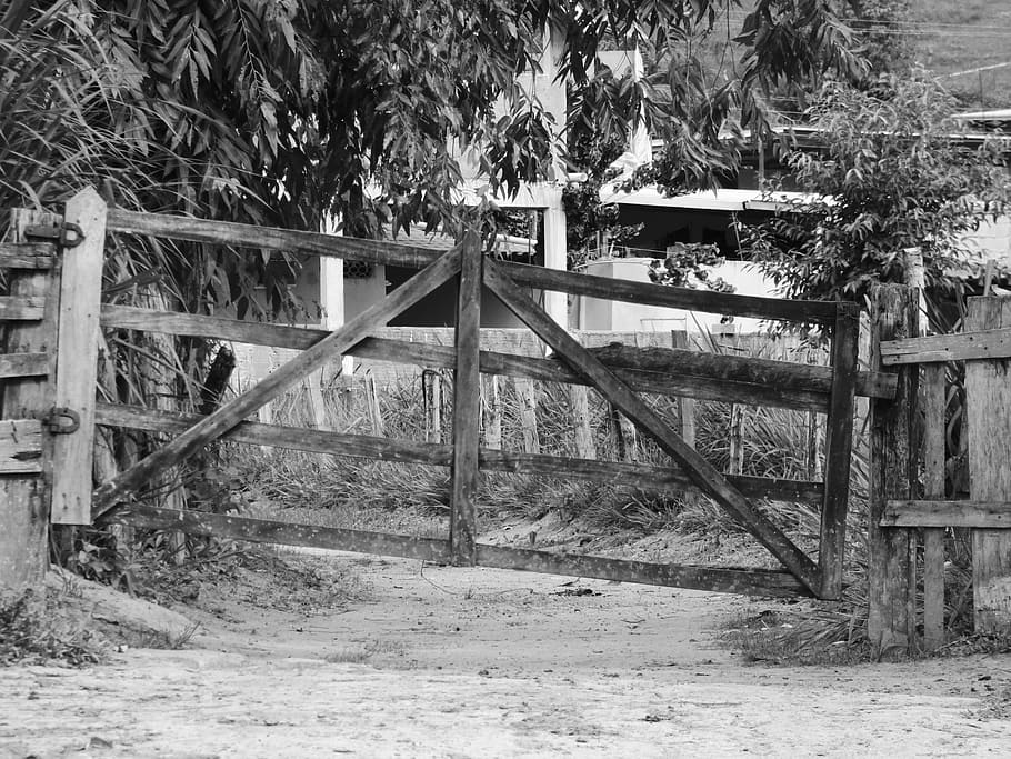 concierge, old, farm, roça, brazil, minas, path, road, ground HD wallpaper