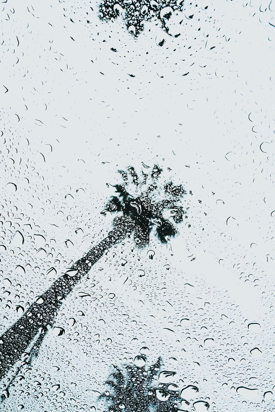 water dew wallpaper, shallow focus photography of water droplets HD wallpaper