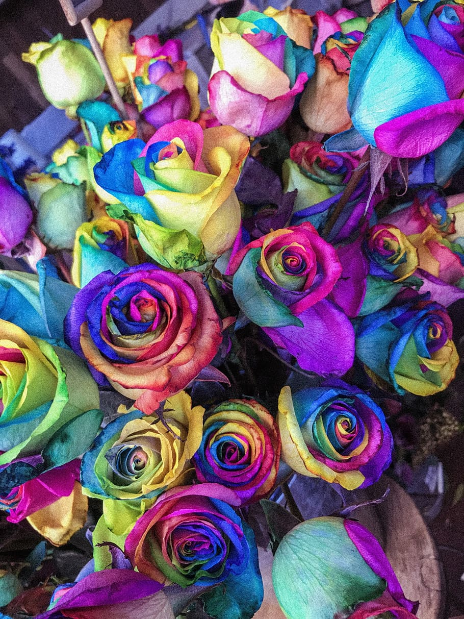 Florist, multicolor flowers, rainbow, blue, yellow, purple, multi colored HD wallpaper