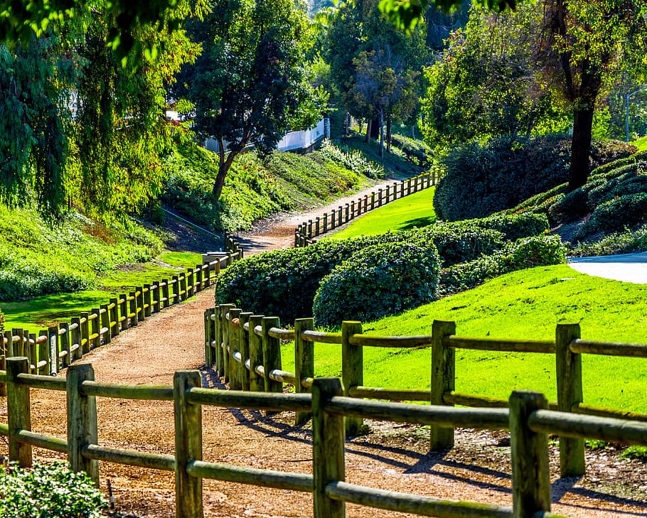 path, trail, outdoor, hill, hiking, green, tree, plant, green color HD wallpaper