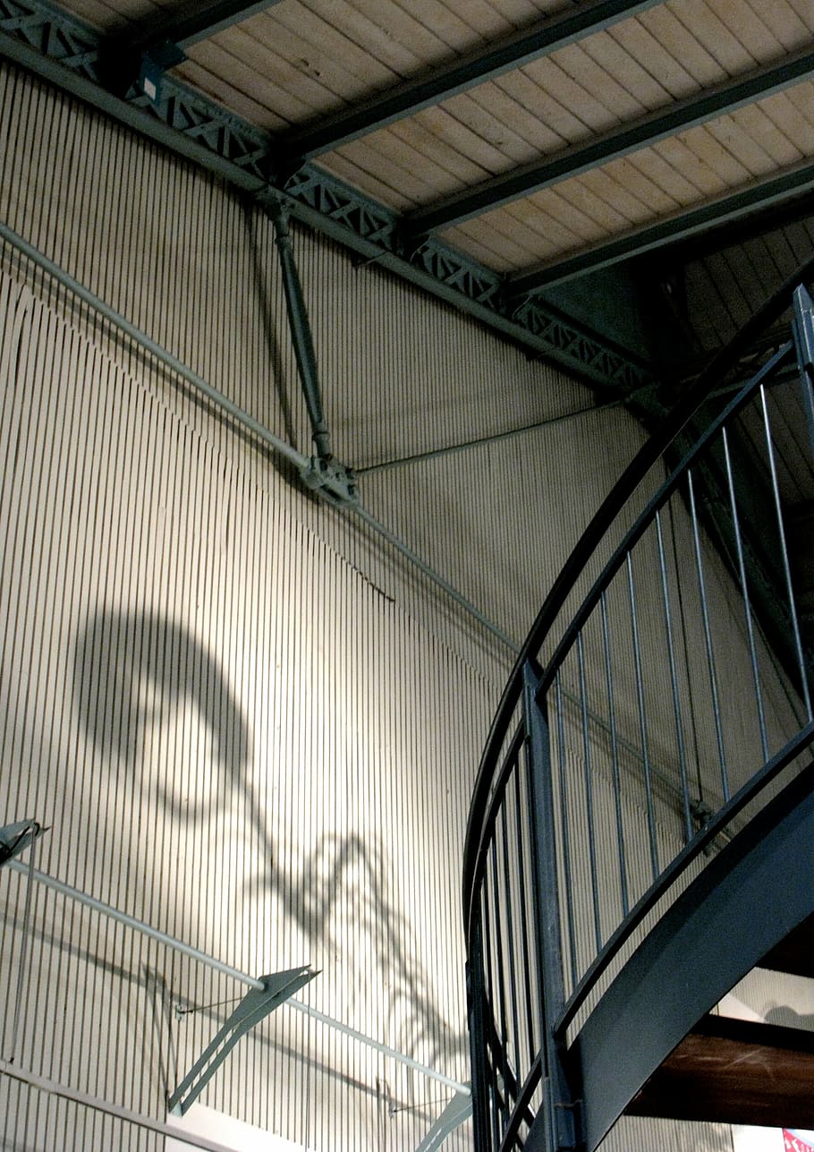 dinosaur, shadow, museum, interior, paris, architecture, built Structure HD wallpaper