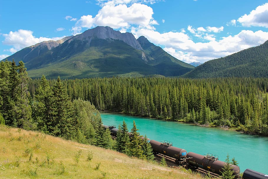 brown train near body of water during daytime, cargo, bow river, HD wallpaper