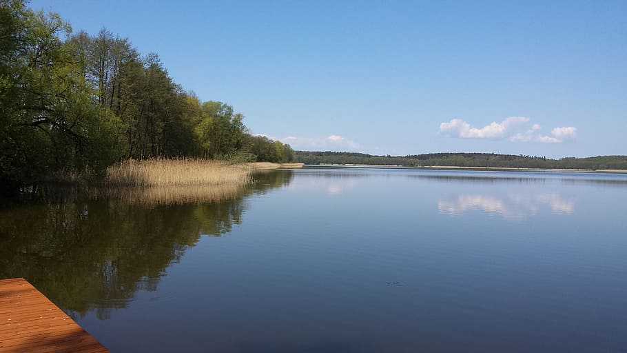 lake, nature, water, reflection, tranquility, tree, scenics - nature HD wallpaper