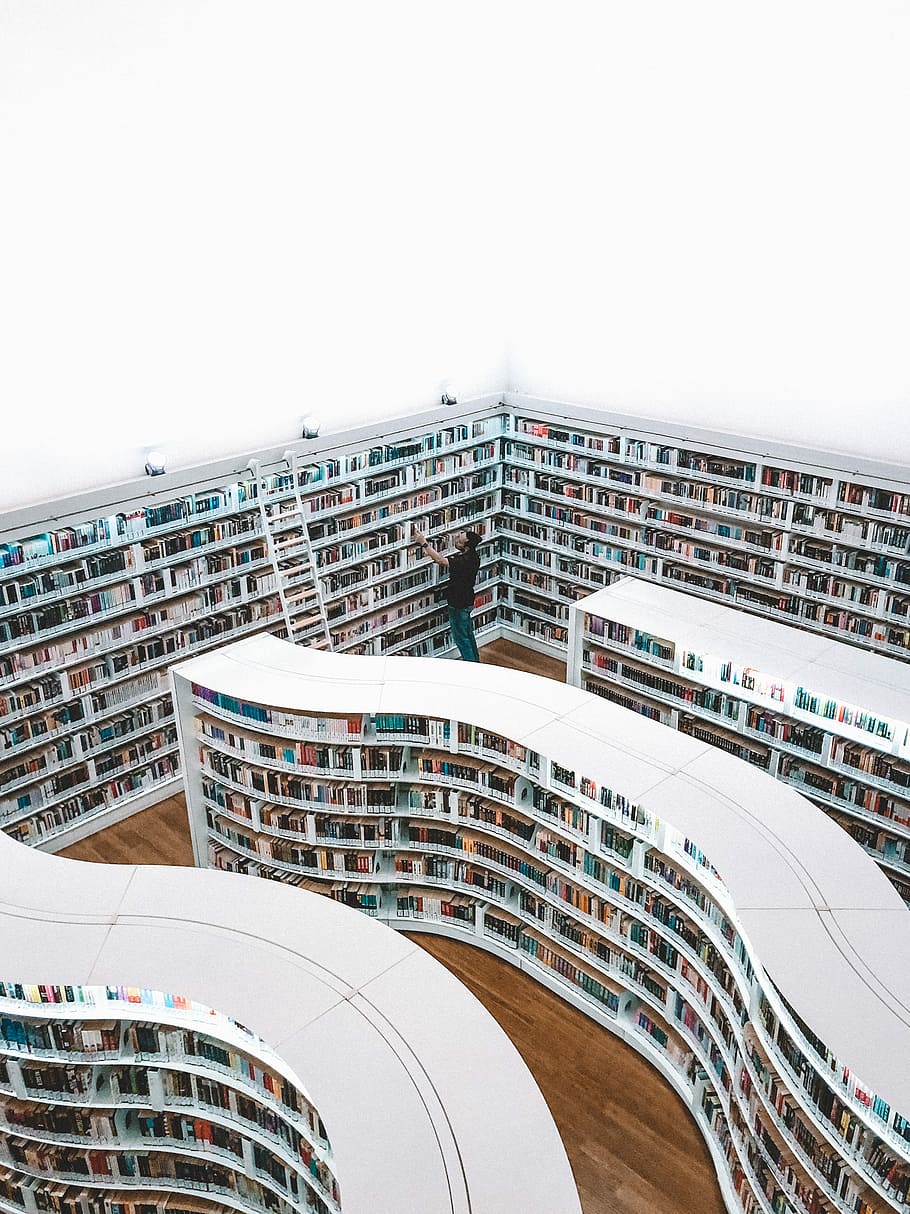 man looking book inside library, man standing inside a library looking for a book HD wallpaper