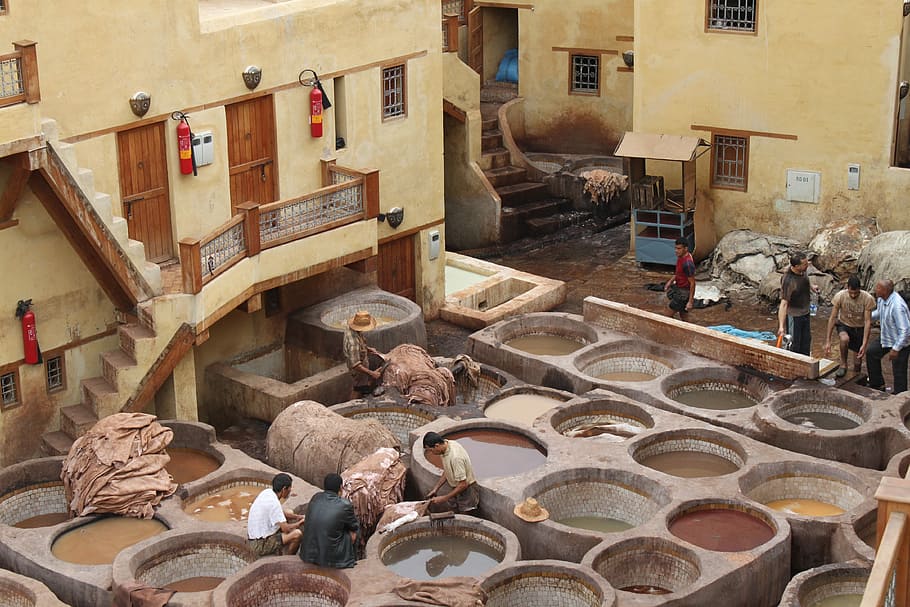 Tannery, Morocco, Skins, architecture, built structure, building exterior, HD wallpaper
