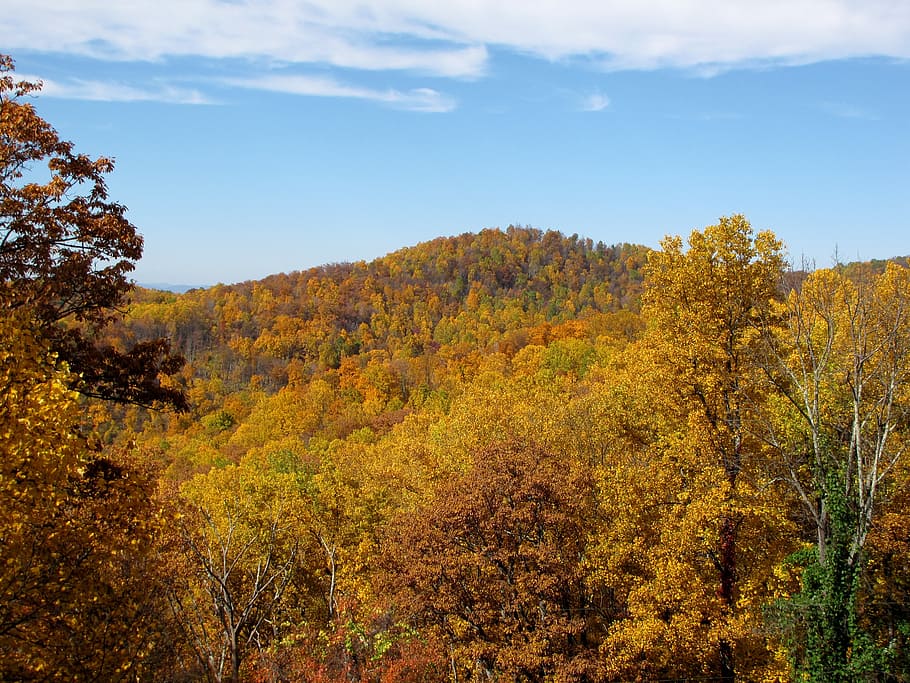 mountain, fall, autumn, nature, landscape, scenic, trees, fall trees HD wallpaper
