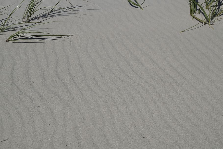 Sand, Structure, Texture, unaffected, pattern, background, beach HD wallpaper