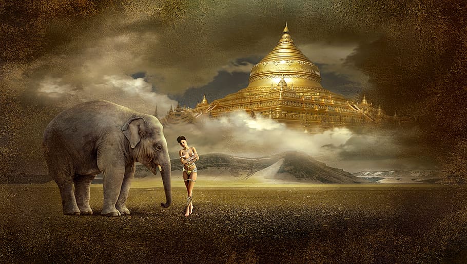 woman standing beside elephant, fantasy, temple, mood, mystical