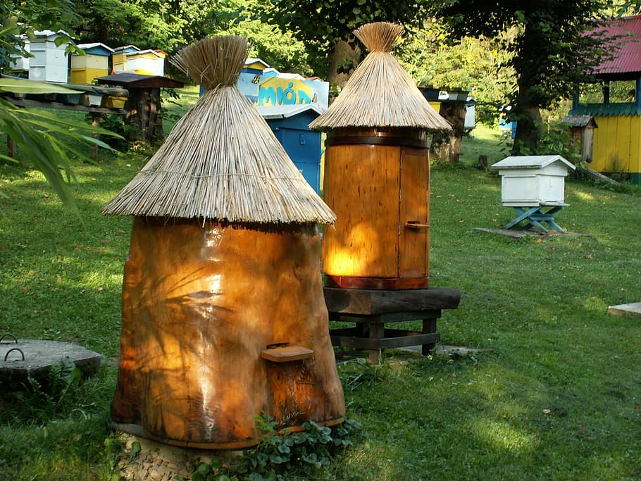 ul, bees, beekeeping, distributional effects, honey, pasieka HD wallpaper