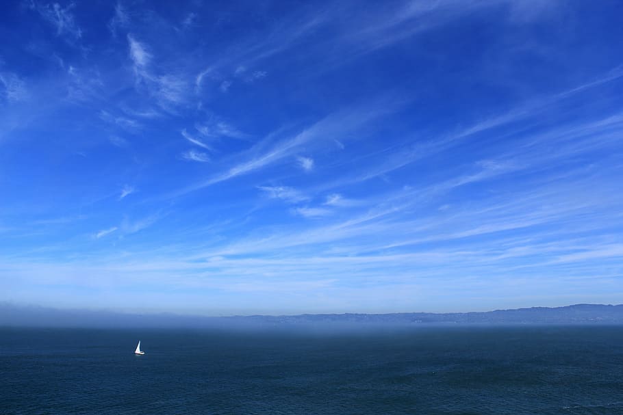 landscape photography of horizon, white, bird, flying, blue HD wallpaper