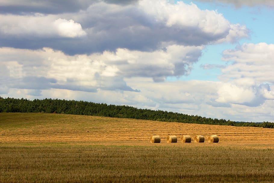 field, stack, landscape, nature, straw, hay, summer, august HD wallpaper