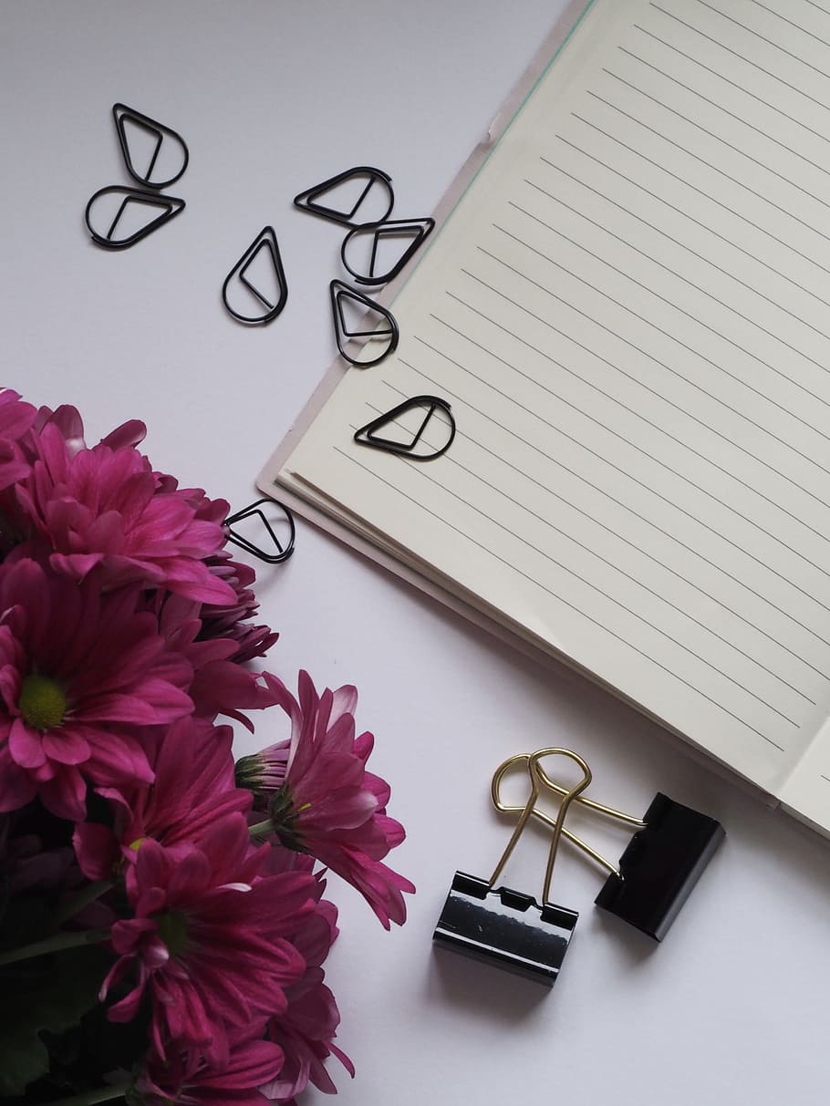 flowers, desk, notebook, paperclips, black, blank, close-up, daisies HD wallpaper