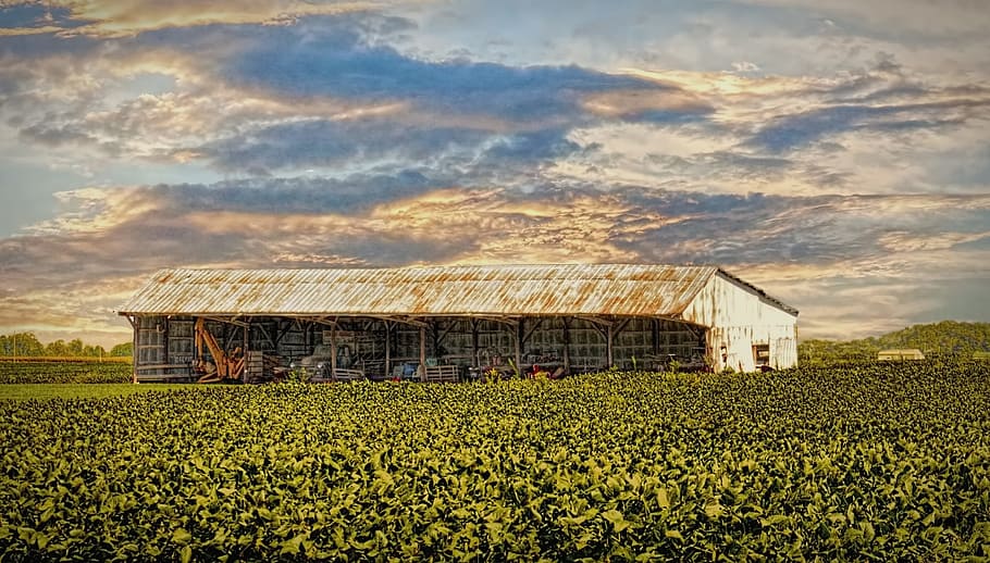 barn, rustic, barns, ohio, digital art, rural, scenic, country HD wallpaper